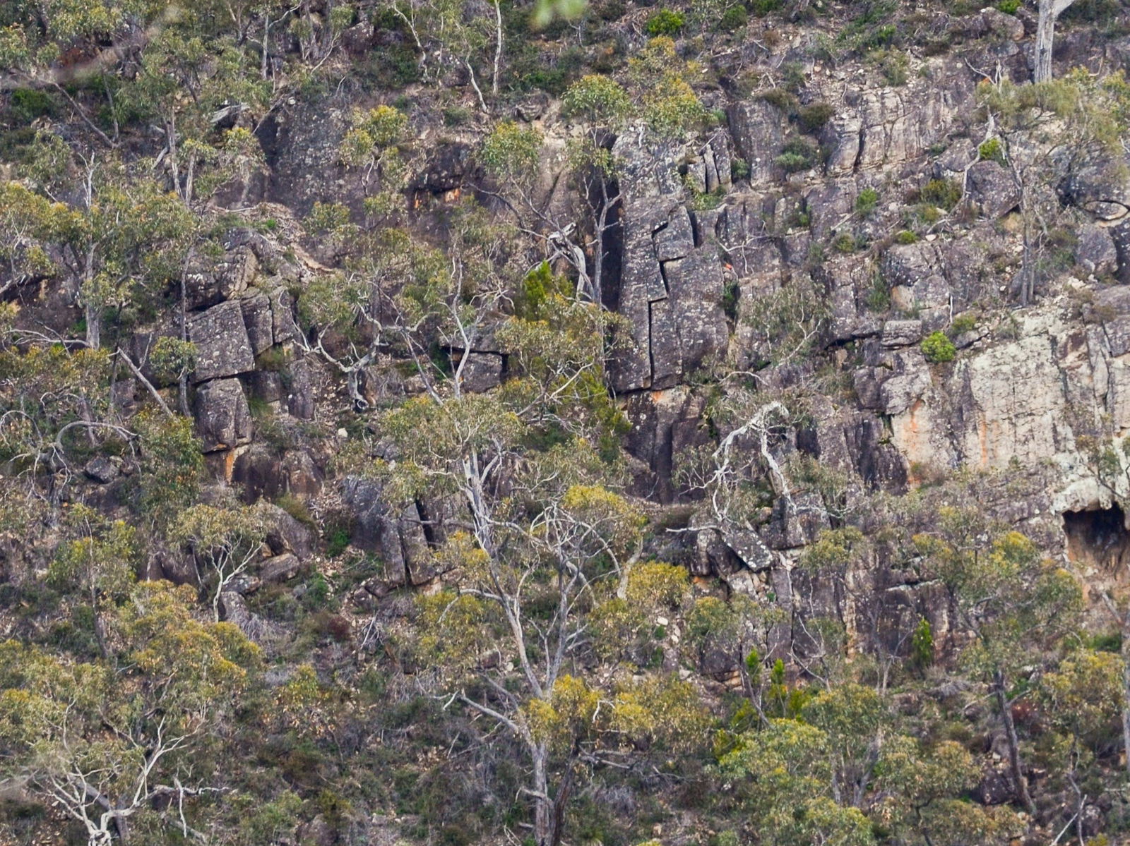 Horsnell Gully SA Accommodation Yamba