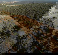 Julimar Date Garden - Accommodation Yamba