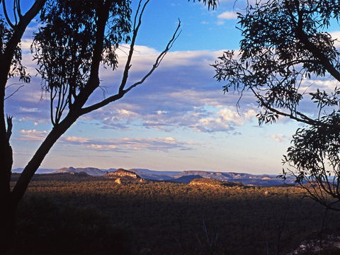Ka Ka Mundi, Carnarvon National Park - Accommodation Yamba 0