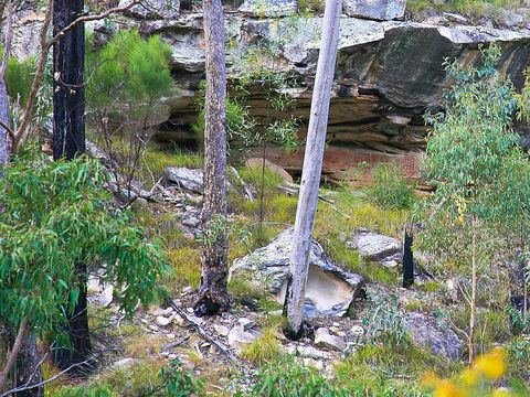 Ka Ka Mundi, Carnarvon National Park - Accommodation Yamba 1
