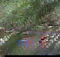 Kerewong State Forest - Accommodation Yamba