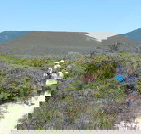 Lesueur Walk Trail Mount Lesueur - Accommodation Yamba