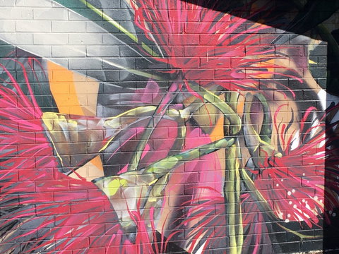 Mokoan Rest Stop Northbound - Accommodation Yamba 0