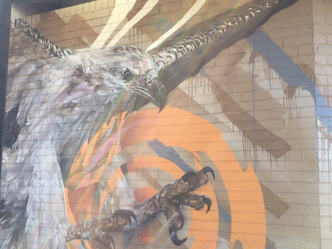 Mokoan Rest Stop Northbound - Accommodation Yamba 1