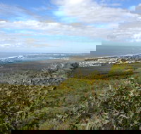 Mount Coolum National Park - Accommodation Yamba