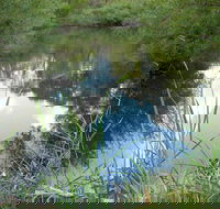 Mullion Range State Conservation Area - Accommodation Yamba