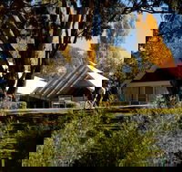 Orange Botanic Gardens - Accommodation Yamba