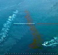 Port Noarlunga Reef Sanctuary Zone - Encounter Marine Park - Accommodation Yamba