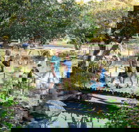 Rockhampton Botanic Gardens - Accommodation Yamba