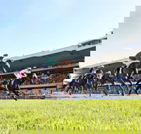 Rosehill Gardens Racecourse - Accommodation Yamba