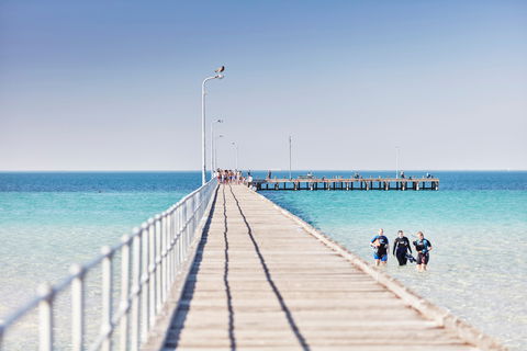 Rye Bay Trial - Accommodation Yamba 1
