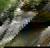 Second Ponds Creek Walk - Accommodation Yamba