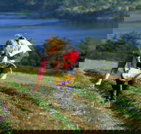 Tas-Saff - Accommodation Yamba