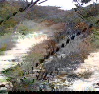 The Falls Water Falls - Accommodation Yamba