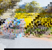 The Heron's Highway - Avon River Cycle Trail - Accommodation Yamba