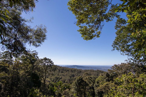 Thylogale Track - Accommodation Yamba 2