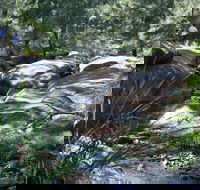 Towarri National Park - Accommodation Yamba