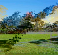 Tunks Hill picnic area - Accommodation Yamba