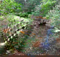 Waitui Falls - Accommodation Yamba