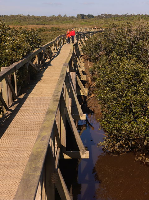 Warringine Park & Bittern Coastal Wetlands Boardwalk - Accommodation Yamba 0