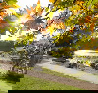 Wentworth Falls Lake - Accommodation Yamba