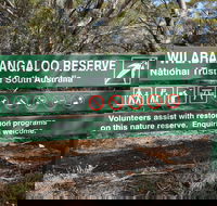 Wilabalangaloo Reserve - Accommodation Yamba