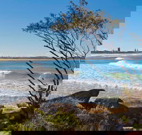 Wooli to Red Rock Walk - Accommodation Yamba