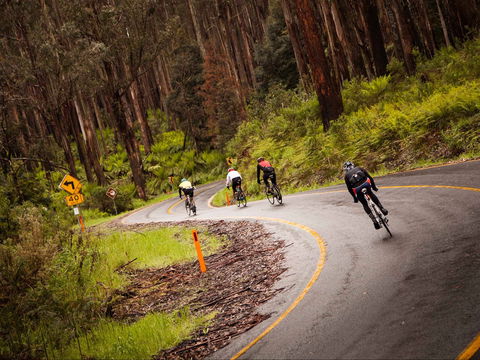 7 Peaks Ride - Lake Mountain - Accommodation Yamba 1