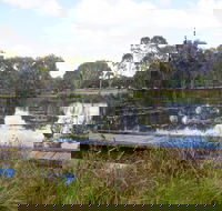 Baldwin Swamp Environmental Park - Accommodation Yamba