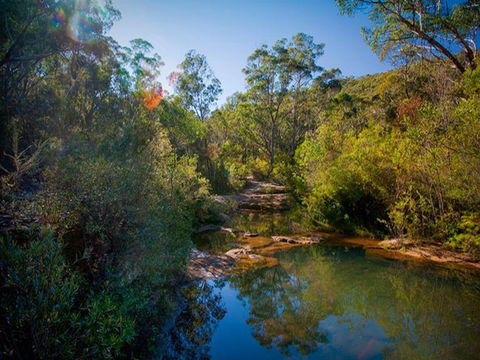Bargo State Conservation Area - Accommodation Yamba 0