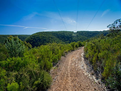 Bargo State Conservation Area - Accommodation Yamba 1