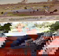 Bird Watching in Narrandera - Accommodation Yamba