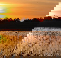 Bool Lagoon Game Reserve and Hacks Lagoon Conservation Park - Accommodation Yamba