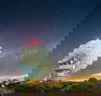 Carnarvon - Accommodation Yamba