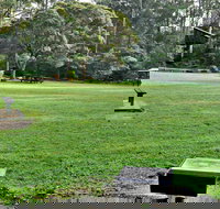 Cottonwood Glen Picnic Area - Accommodation Yamba