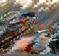 Echuca Paintball Games - Accommodation Yamba