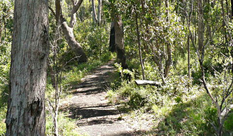 Euglah Rock Walking Track - Accommodation Yamba 0