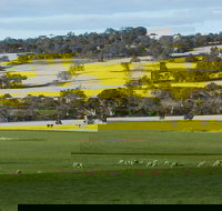 Fini Olives - Accommodation Yamba