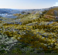 Gold Coast Hinterland Great Walk - Accommodation Yamba