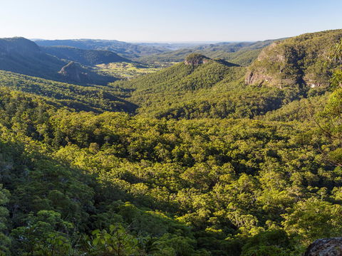 Gold Coast Hinterland Great Walk - Accommodation Yamba 0