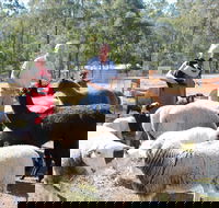 Haigslea EWE Nique Hobby Farm - Accommodation Yamba