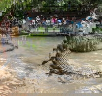 Hartley's Crocodile Adventures - Accommodation Yamba