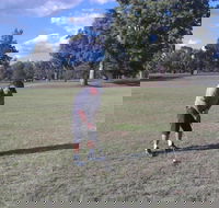 Inverell Golf Club - Accommodation Yamba