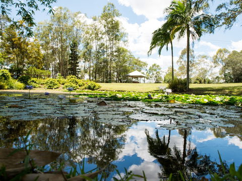 Kholo Gardens - Accommodation Yamba 1