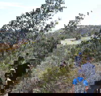 Kinchina Conservation Park - Accommodation Yamba