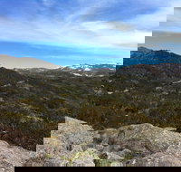 Kosciuszko National Park Charlottes Pass to Snowy River - Accommodation Yamba