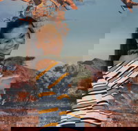 Kuranda Koala Gardens - Accommodation Yamba