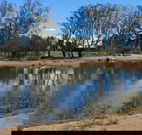 Lake King Wetlands at Rutherglen - Accommodation Yamba