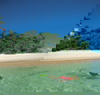 Low Isles - Accommodation Yamba