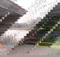 Martin Bend Wetland and Walking Trail - Accommodation Yamba